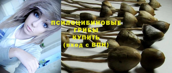 а пвп мука Белокуриха