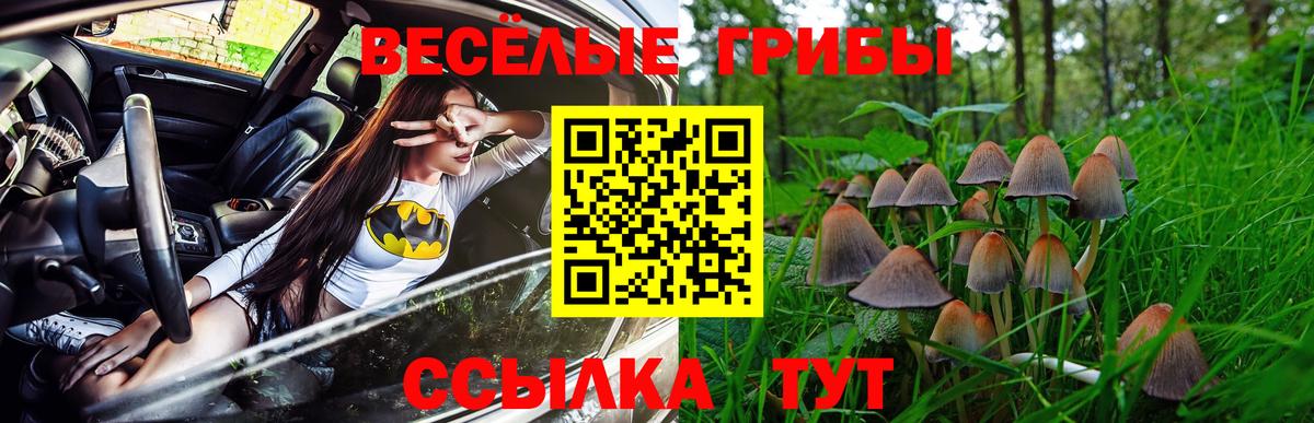 Галлюциногенные грибы Psilocybe Великий Устюг
