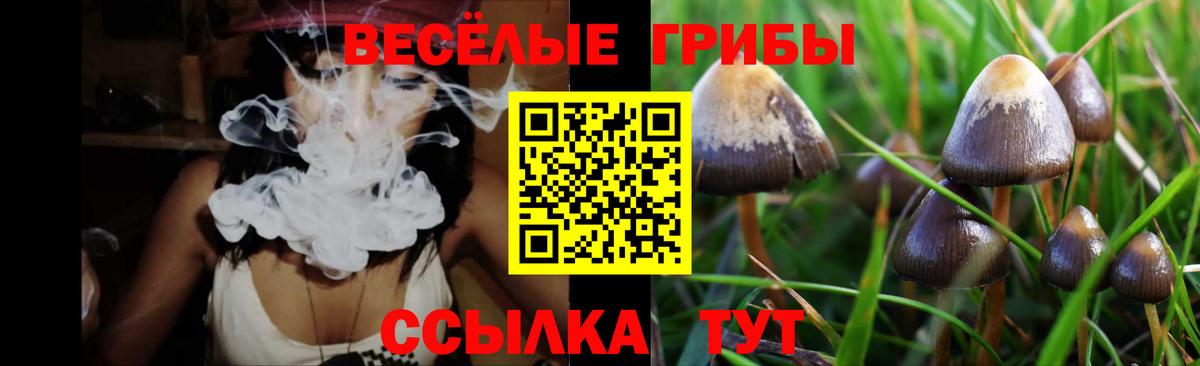 Псилоцибиновые грибы ЛСД  Псилоцибиновые грибы мухоморы  Вход с VPN  Великий Устюг 