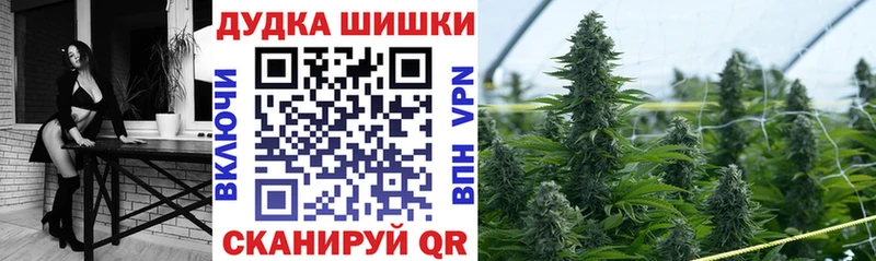 Каннабис SATIVA & INDICA  Великий Устюг 